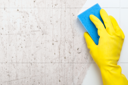 The Difference Between Regular Cleaning and a Professional Deep Clean